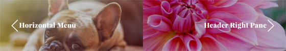 blog-postnav blog-postnav